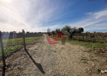 Foto 46 - Rustico Contrada Paritola
snc, San Nicola Manfredi - foto 46