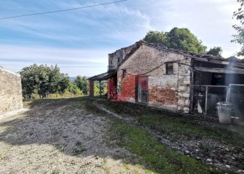Foto 48 - Rustico Contrada Paritola
snc, San Nicola Manfredi - foto 48