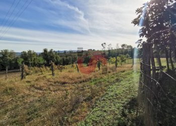 Foto 58 - Rustico Contrada Paritola
snc, San Nicola Manfredi - foto 58