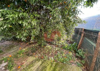 Foto 3 - Casa semi indipendente Via Umberto I°, Foglianise - foto 3