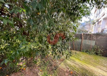 Foto 4 - Casa semi indipendente Via Umberto I°, Foglianise - foto 4