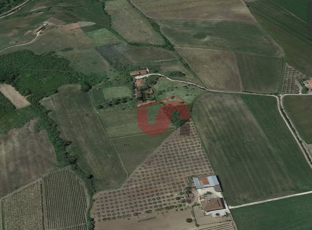 Foto 1 - Terreno agricolo Contrada San Vitale
 
snc, Benevento - foto 1