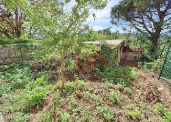 Foto 28 - Casa semi indipendente Contrada Cardilli, Sant'Angelo a Cupolo - foto 28