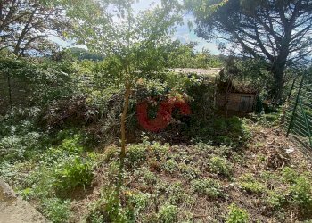 Foto 33 - Casa semi indipendente Contrada Cardilli, Sant'Angelo a Cupolo - foto 33