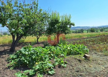 Foto 12 - Casa indipendente Via Le Murate
 
10, Benevento - foto 12