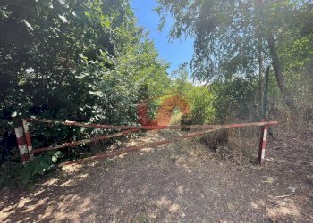 Foto 3 - Terreno edificabile Via Manzoni, Sant'Angelo a Cupolo - foto 3