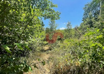 Foto 4 - Terreno edificabile Via Manzoni, Sant'Angelo a Cupolo - foto 4