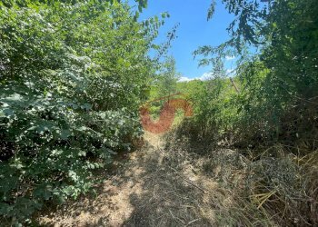 Foto 5 - Terreno edificabile Via Manzoni, Sant'Angelo a Cupolo - foto 5