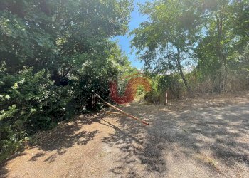 Foto 6 - Terreno edificabile Via Manzoni, Sant'Angelo a Cupolo - foto 6