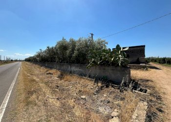 Foto 1 - Agricultural land Massafra - photo 1