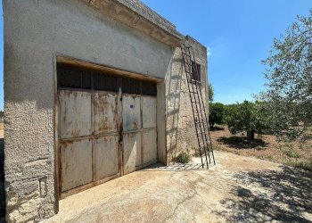 Foto 5 - Agricultural land Massafra - photo 5