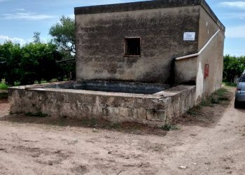 Foto 6 - Agricultural land Massafra - photo 6