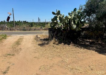 Foto 8 - Agricultural land Massafra - photo 8