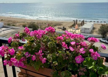 Foto 13 - Trilocale Via Amerigo Vespucci, Palagiano - foto 13