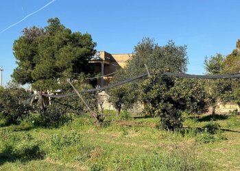 Foto 2 - Villa Massafra - foto 2