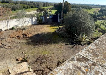 Foto 3 - Villa Massafra - foto 3