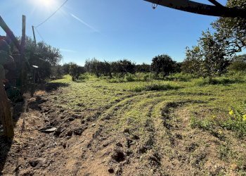 Foto 6 - Villa Massafra - foto 6