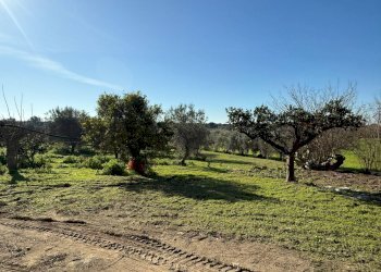 Foto 7 - Villa Massafra - foto 7