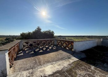 Foto 9 - Villa Massafra - foto 9