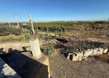 Foto 10 - Villa Massafra - foto 10