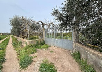 Foto 1 - Agricultural land Contrada Pantano, Massafra - photo 1