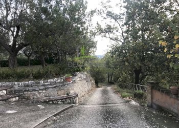 Foto 7 - Rustico Colonnata, Ascoli Piceno - foto 7