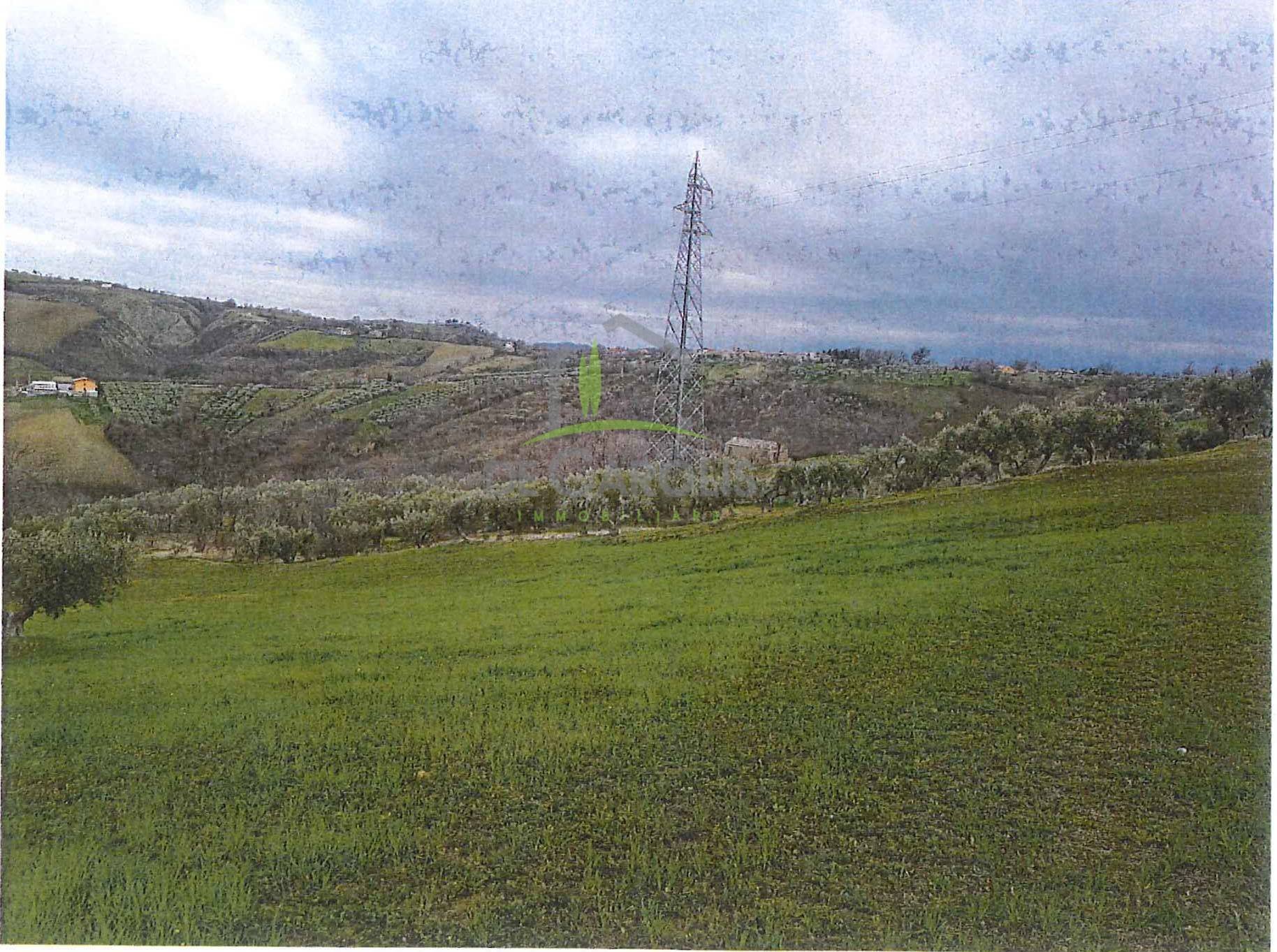 Foto 2 - Building land Contrada Cesenà ALto, Campli - photo 2