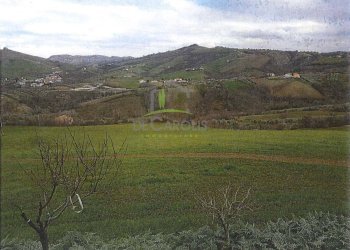 Foto 4 - Building land Contrada Cesenà ALto, Campli - photo 4