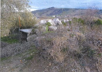 Foto 10 - Building land Contrada Cesenà ALto, Campli - photo 10