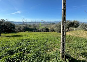 Foto 5 - Casa indipendente Via Borgo da Monte, Monteprandone - foto 5