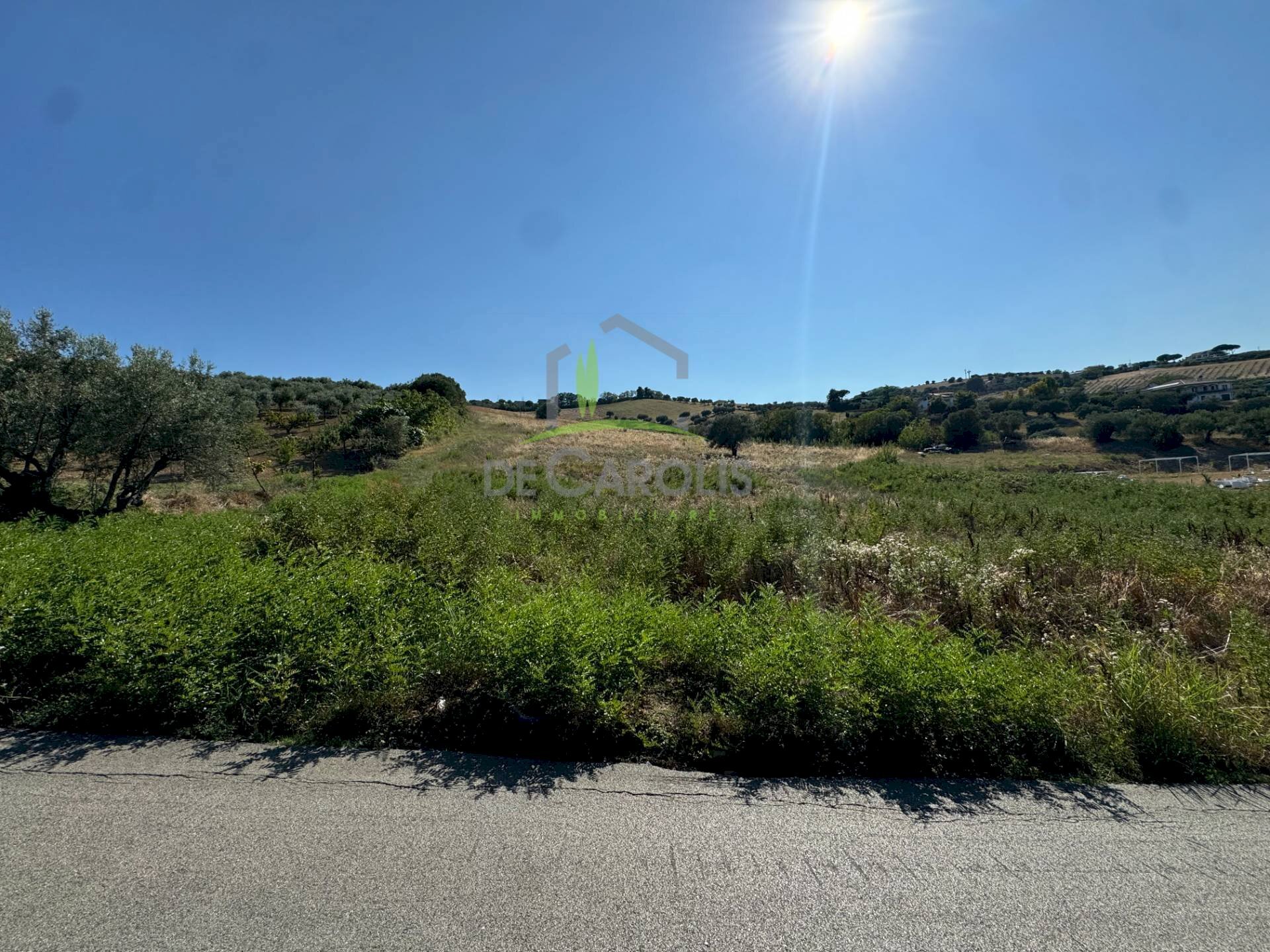 Foto 1 - Agricultural land Via Cavoni, Mosciano Sant'Angelo - photo 1
