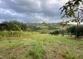 Foto 5 - Casa indipendente Via Casarica
 
15, Acquaviva Picena - foto 5