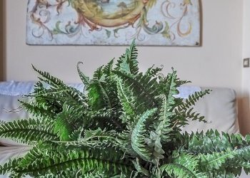 Foto 22 - Casa indipendente Montalto delle Marche - foto 22