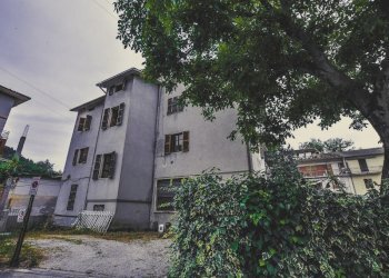 Foto 12 - Appartamento Comunanza - foto 12