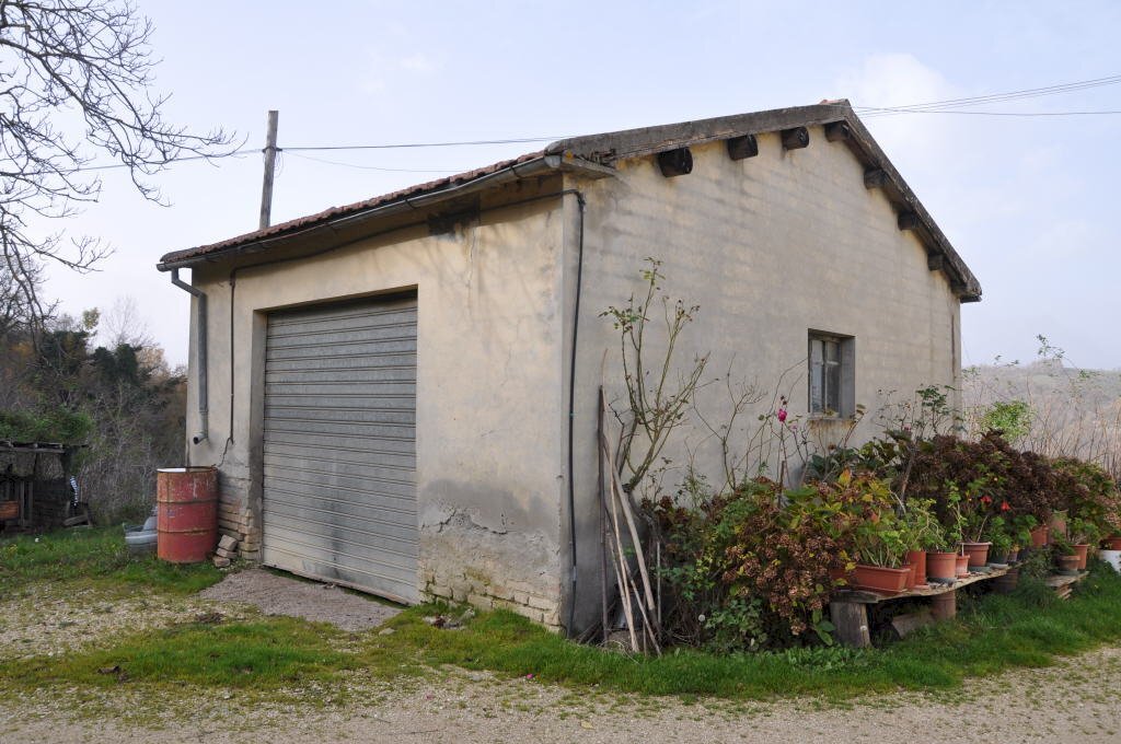 Foto 2 - Rustico Comunanza - foto 2