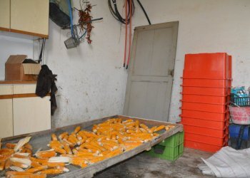 Foto 6 - Rustic Comunanza - photo 6