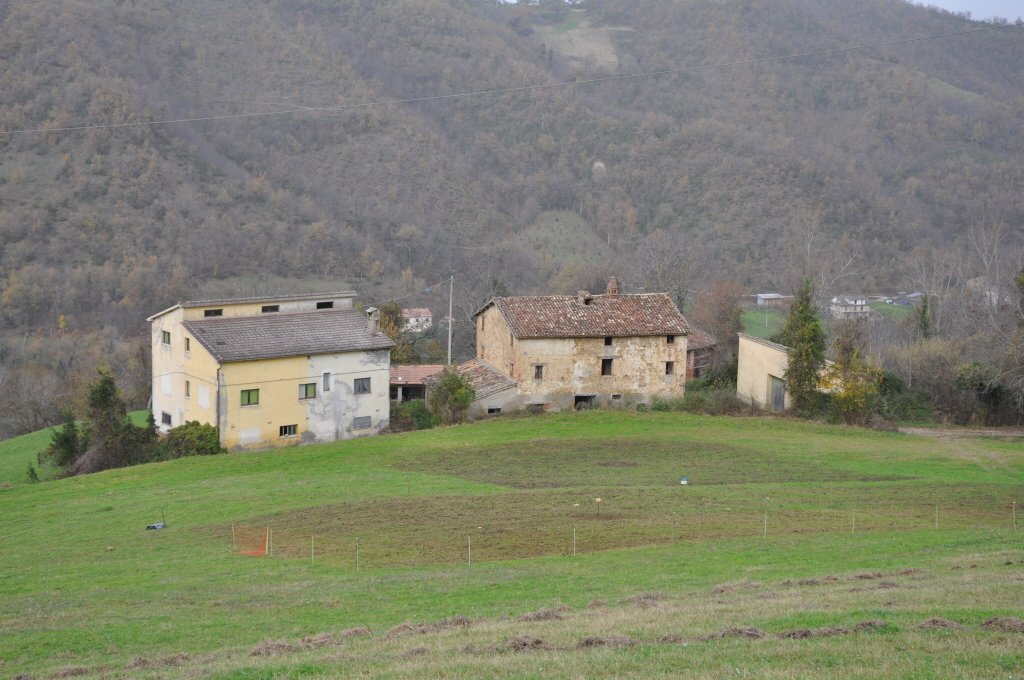 Foto 1 - Rustico Comunanza - foto 1