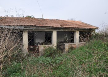 Foto 7 - Rustico Comunanza - foto 7