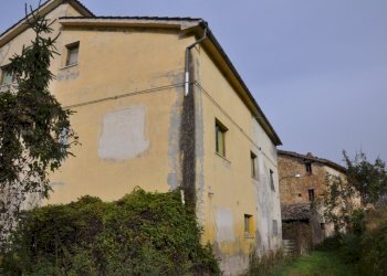 Foto 9 - Rustico Comunanza - foto 9