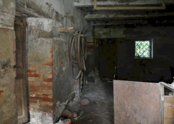 Foto 16 - Rustico Comunanza - foto 16