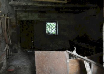 Foto 17 - Rustico Comunanza - foto 17