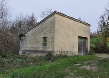 Foto 19 - Rustico Comunanza - foto 19