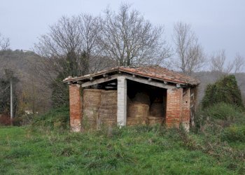 Foto 20 - Rustico Comunanza - foto 20