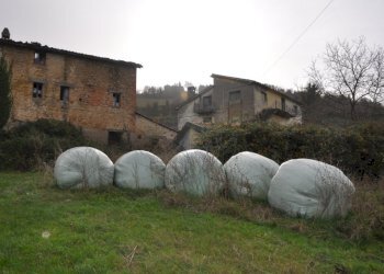 Foto 21 - Rustico Comunanza - foto 21