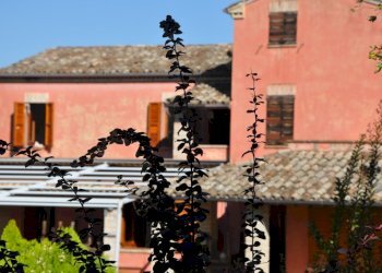 Foto 9 - Rustico Montegiorgio - foto 9