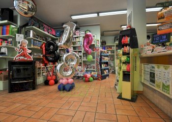 Foto 7 - Commercial Activity Via Trieste, Comunanza - photo 7