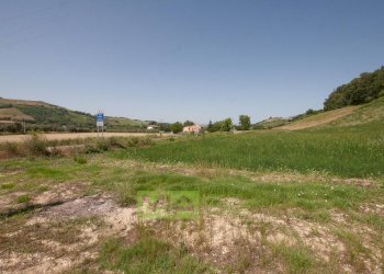 Foto 5 - Terreno edificabile C.da Sant'Antonio, Petritoli - foto 5