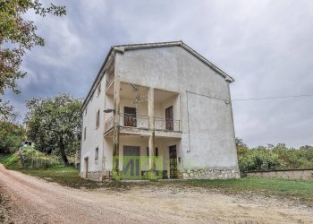 Foto 3 - Rustico Contrada Polica Vecchia, Comunanza - foto 3