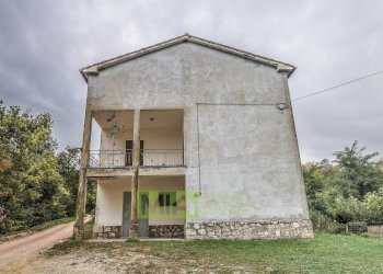 Foto 21 - Rustico Contrada Polica Vecchia, Comunanza - foto 21