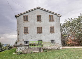 Foto 24 - Rustico Contrada Polica Vecchia, Comunanza - foto 24